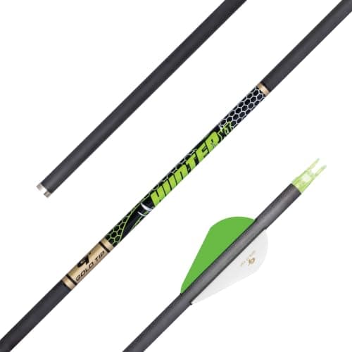 Gold Tip Hunter XT Arrows (6-Pack) — featured gift
